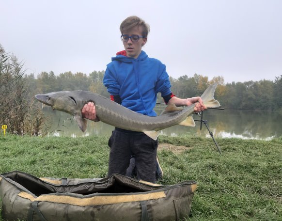 Életem harmadik tohala, és az eddigi legnagyobb tokhalam.
