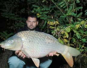 carp