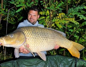carp