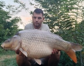 carp