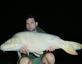 carp
