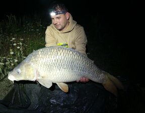 carp