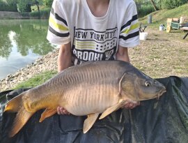 Elmentünk horgászni és én mondtam a barátomnak hogy még egy utolsót dobok hátha lesz valami, épp mikor bakolni kezdtünk megszólalt a kapásjelző, elég sokáig fáraztottam és végül sikerült kifognom! Nagyon nagy élmény volt!