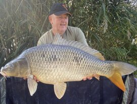 Mozsár Gábor horgásztársunk fogta ezt a csodálatos, 13,5 kg-os pontyot a gersekaráti Sárvíz-tavon. 🤩 A hal egy gyors fotózást követően visszaengedésre került, melyet külön köszönünk! 😊