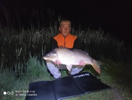 Éjfél utàn húzós kopásra érkezett ez a szép töponty és kíméletesen vissza lett engedve