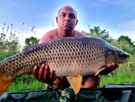 Horváth Béla horgásztársunk fogta
2022.05.11-én a Magyarszecsődi kavicsbánya tavon ezt a méretes, 13 kg-os pontyot. A hal egy gyors fotózást követően visszaengedésre került.