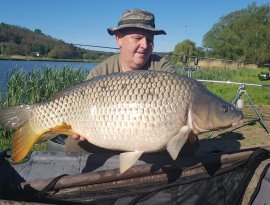 Mozsár Gábor horgásztársunk küldte a napokban a következő csodálatos fogásokat, melyeket Garamvári Sándor barátjával együtt fogtak  a Gersekaráti Sárvíz-tavon  egy májusi bojlis túra alkalmával.  A pontyok között volt 8-11-15 kg-os példány is. Szívből gratulálunk a szép fogásokhoz!