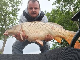 Sziasztok! 
Reggel 7:55-kor egy erőteljes kapás és 20. perc fárasztás után sikerült partra emelnem ezt a 79 cm hosszú harcost. Ronnie rig-es szereléken felkínált 12 mm-es trópusi gyümölcs ízű pop up-ra csábult el. Gyors fotózás és mérlegelés után sietett vissza a vízbe. Remélem még találkozom vele... 🙂