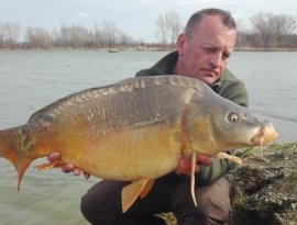 Tóth Árpád horgásztársunk ezt a csodálatos 10-15 kg körüli pontyot fogta a Magyarszecsőd tavon. A hal pontos mérésére a kíméleti okokból nem került sor. Szívből gratulálunk a szép fogáshoz.