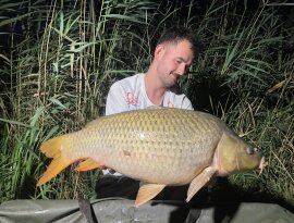 Kosijer Mario  horgásztársunk (DS-Baits Österreich) fogta a Gersekaráti tavon a képeken látható csodálatos pontyot. 😊