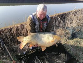 Büki Csaba  horgásztársunk fogta ezt a szép 20+ -os pontyot a Rába folyó ikervári csatornán, melyhez ezúton is gratulálunk! A hal egy gyors fotózást követően visszaengedésre került!