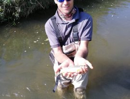 Tilalom előtti utolsó hétvégén sikerült M.R. zalai vendéghorgásznak a Répcén pergető módszerrel élete első sebes pisztrángját megfognia. A hal természetesen visszabocsátásra került.