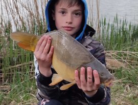 Ferencz Olivér fiatal pecásunk fogta ezt a 4.2kg-os tükörpontyot a Gersekaráti horgásztavon, ami kifogása után vissza is került a tó élő világába, melyet köszönünk!