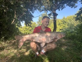 17:28-kor érkezett az első kapás, eredménye egy gyönyörű, 12,71 kg-os amur❤️🐟🎣