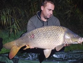 Takács Gábor horgásztársunk ismét a gersekaráti tavon pecázott és sikerrel járt ezúttal is. Szombat éjszaka meglátogatta egy méretes, uszonyos vendég, melyhez gratulálunk!