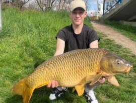 Kleé Balázs horgásztársunk fogta ezt a méretes 13 kg feletti pontyot 04.05-én szombaton Csó-tón aromás kukoricával.