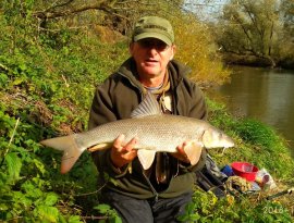 Forrai Tibor horgásztársunk fogta a képen látható 69 cm-es gyönyörű márnát. Fotózást követően kíméletesen vissza lett engedve az otthonába ez a gyönyörűség. Szívből gratulálunk!