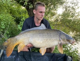 Este fél 8kor egy nagyon húzós kapással jelentkezett ez a gyönyörű tőponty.15 perces fárasztás után sikerült megszákolni a halat amely egy spinner rigen felkinált 14mm pop upra csábult el.