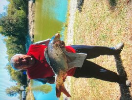 E hónap 12-én, 15.20 órakor a csepregi Téglagyári tavon kifogtam egy 13,20 kg-os, 74 cm-es tükörpontyot. Fertőtlenítés után visszaengedtem a tóba. Csalim gumi kukorica volt.
