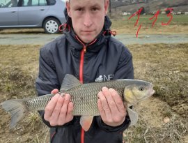 Ma délután pop up csalival fogtam ezt a szép domolykót.