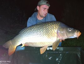 Takács Gábor horgásztársunk a Gersekaráti tavon fogta képen látható 17 kg feletti pontyot, melyet fotózás után kíméletesen visszaengedett.