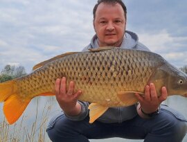 Óvatos kapás, majd 20 perces fárasztás után sikerült megszákolni ezt a szépséget. 🙂