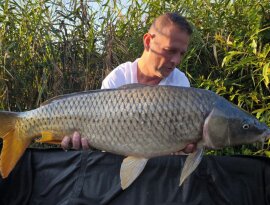 Kosijer Darko horgásztársunk (DS-Baits Österreich) fogta a Gersekaráti tavon a képeken látható csodálatos pontyot🎣, mely az előírások szerint egy gyors fotózást követően visszaengedésre került! 😊