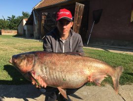 Jónapot kívánok!Egy kora reggeli nagy kapásra lettünk figyelmesek és olyan 35 perc után partra segítettuk a halat ,le voltunk dobbenve