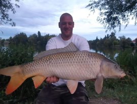 Szombathelyi Csónakázó tavon fogta baráti pecán a képen látható szép pontyot Sasvári Domonkos. A kifogott ponty 10 kg körüli volt. A hal egy gyors fotózás után visszanyerte szabadságát! Köszönjük!