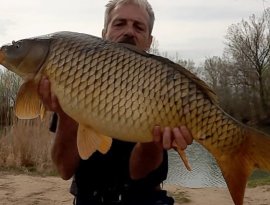 Tóth László  horgásztársunk fogta  ezt a szép 10,6 kg-os pontyot a Gencsapáti tavon, melyhez ezúton is gratulálunk! A hal fotózás után visszaengedésre került.