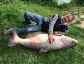 Pergetés közben, (twister).. köpemybe akadt, vagyis farok uszóba. 10 gr-s pergető bottal. 0.08 fonott zsinórral 2 óra 46 percig tartó fárasztással sikerült segítséggel partra emelni!
Sajnos a hal nem nagyon adott életjelet a fárasztás után, ezért a halőrökkel történt eszmecsere után döntöttem az elvitele mellett: A halat megpucolás után, másnap a kint lévő horgásztársak között elosztottam!