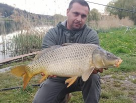 Takács Gábor horgásztársunknak sikerült fognia három szebb pontyot is a legutóbbi gersekaráti pecája során! A halak visszaengedésre kerültek, melyet külön köszönünk!