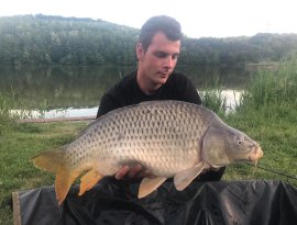 Osbáth Márk a Gersekaráti Sárvíz-tavon fogta a képen látható 9,5 kg-os pontyot. Gratulálunk!