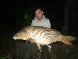 Nagyon pazar hal volt .köszi ràba