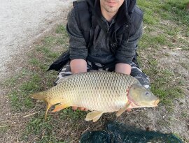 Reggeli elsô dobás elsô hal 10 perces fárasztás után megadta  magát .