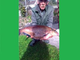 Kiss Ferenc szentgotthárdi horgász a Rába folyón 2018.10.03-án fogta ez a rekordméretű 5,45 kg-os dévért (Hossza: 61 cm, Kerület: 63 cm) .

Felszerelés: Shimano 3,9 m bot, 20,5 zsinór, 8-as horog, Shimano AX 4000-es orsó.