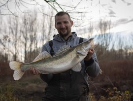 Németh Péter horgásztársunknak tavaly decemberben sikerült fogni ezt a 69cm-es ragadozót a Rába folyó vasmegyei szakaszán pergető módszerrel.