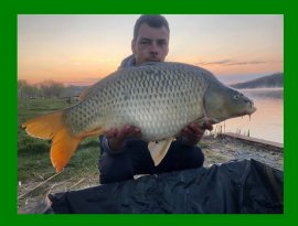 Osbáth Márk horgásztársunk a vasárnap hajnalban fogta a képen látható szép gersekaráti pontyot. Szívből gratulálunk!