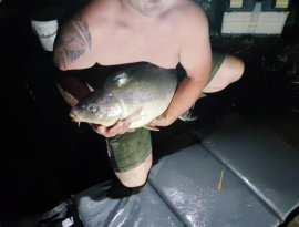 Soós Dávid horgásztársunk fogta ezt a 10+ kg-os pontyot a gersekaráti Sárvíz-tavon, mely egy gyors fotózást követően visszaengedésre került.