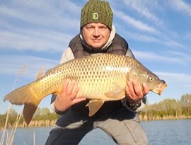 Határozott kapás és 10 perc fárasztás után került partra ez a kereken 8 kilós és 66 cm hosszú ponty. 🙂