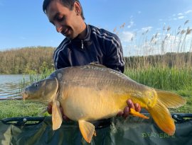 Molnár Tamás horgásztársunk 7,40 kg-os pontyfogása a Gersekaráti Sárvíz tavon, mely egy fénykép és a mérlegelés után vissza engedésre került!