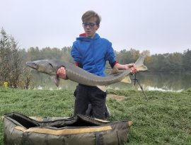 Életem harmadik tohala, és az eddigi legnagyobb tokhalam.