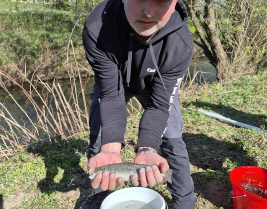 Pisztrángtelepítések márciusban-áprilisban