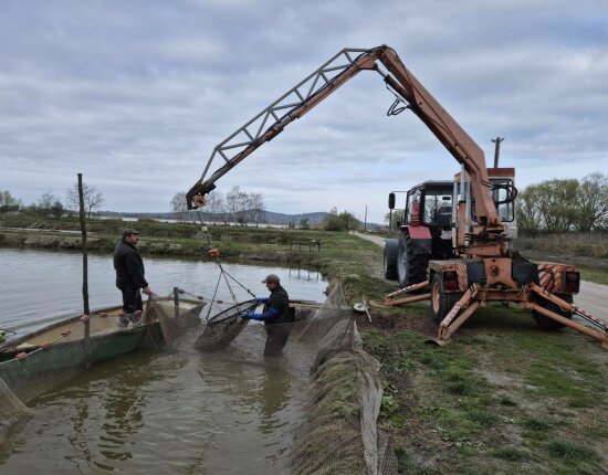 Pontyok érkeztek a húsvéti ünnepekre