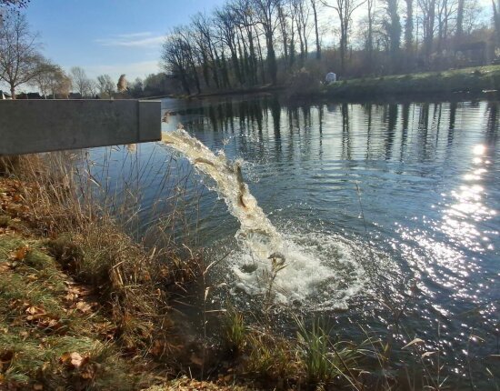 Prächtige Hechte und fantastische Karpfen sind in unsere Gewässer eingezogen.