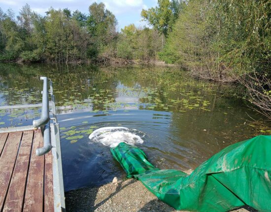 4550 kg ponty érkezett a vasi vizekbe