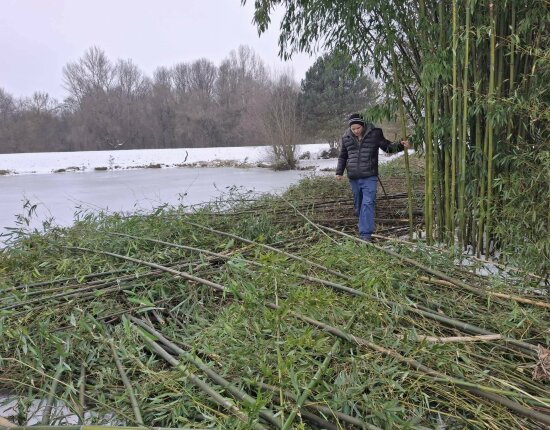 Unsere Fischer und Fischaufseher haben wieder für die Gewässer gearbeitet.