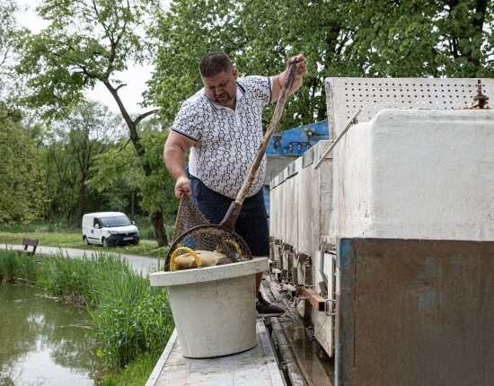 62 mázsa fogható ponty érkezett - 2026.04.28